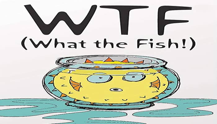 How To Play WTF What The Fish Official Game Rules UltraBoardGames